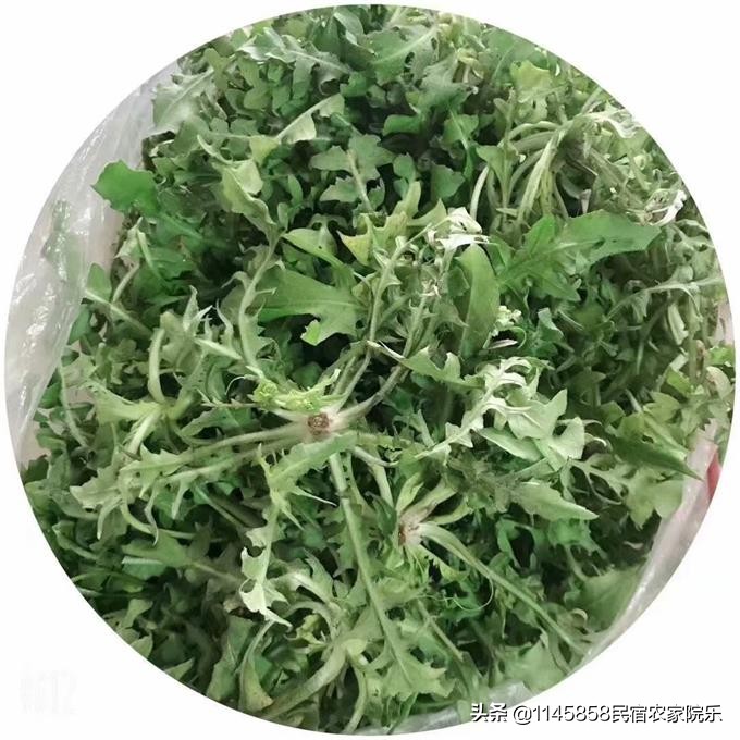 蓟县盘山农家山庄,盘山玉环山庄