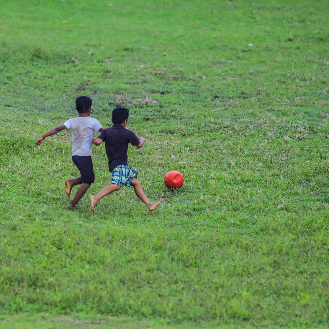 领略亚马孙百闻不如一见，随陈靖文来场视觉与思想的深度游