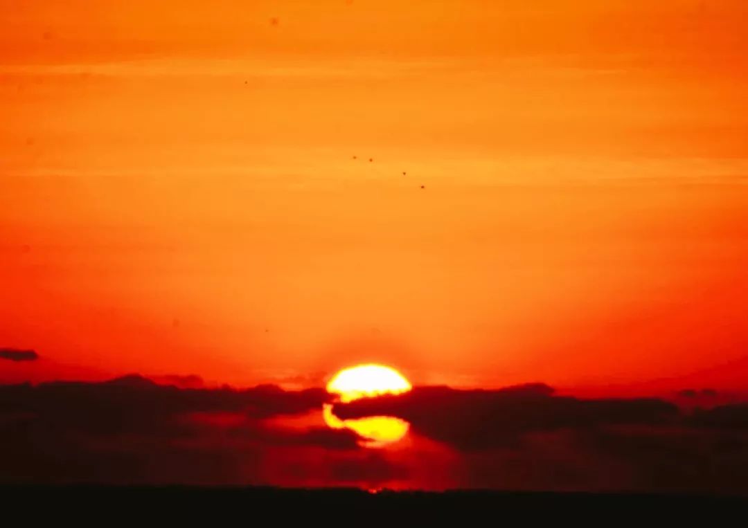 美过三亚浪漫过厦门的海滨老城,青岛和厦门海边哪个值得去旅游
