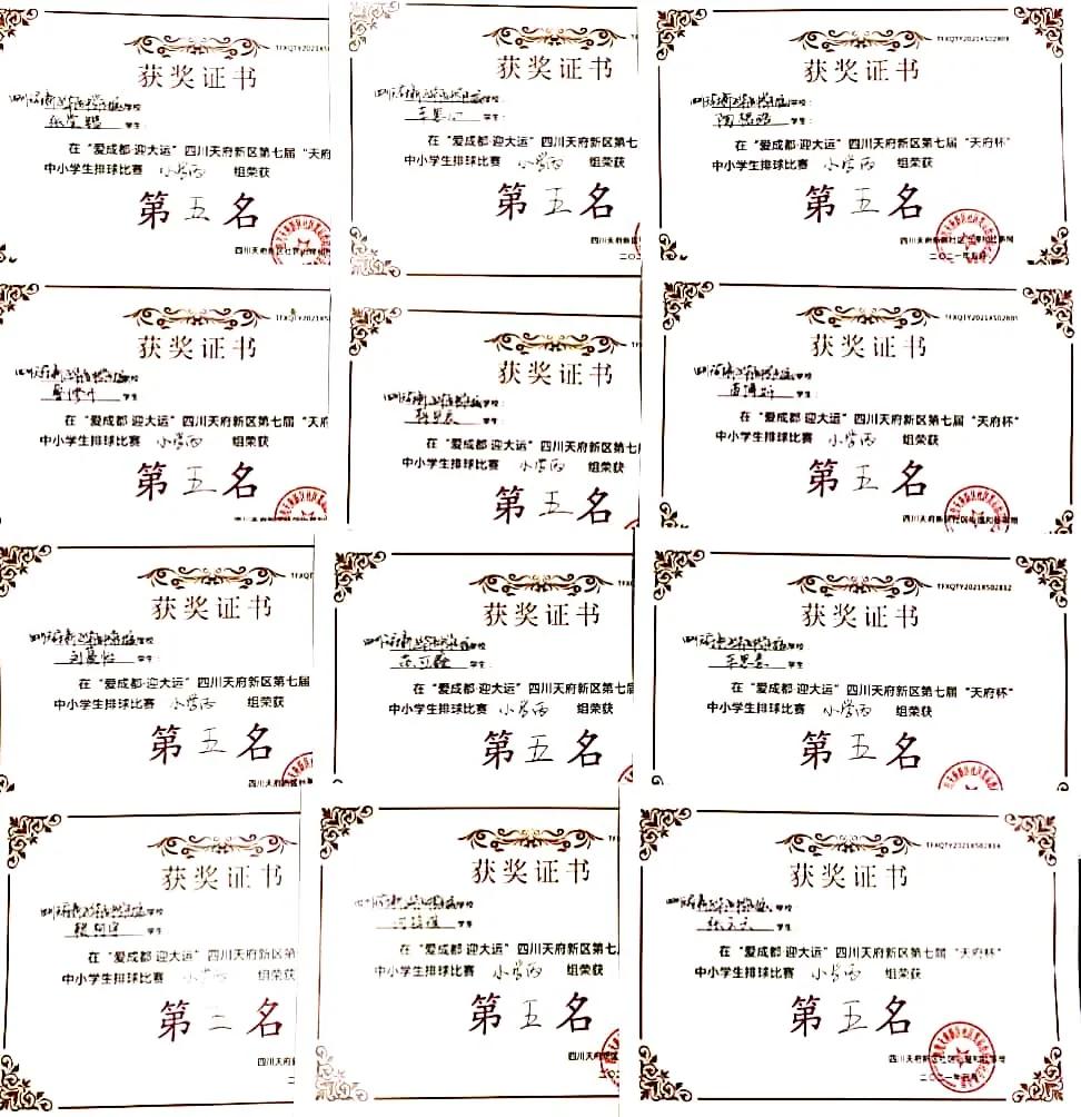 天府新区华阳中学篮球馆,华阳中学天府新区小学部运动会