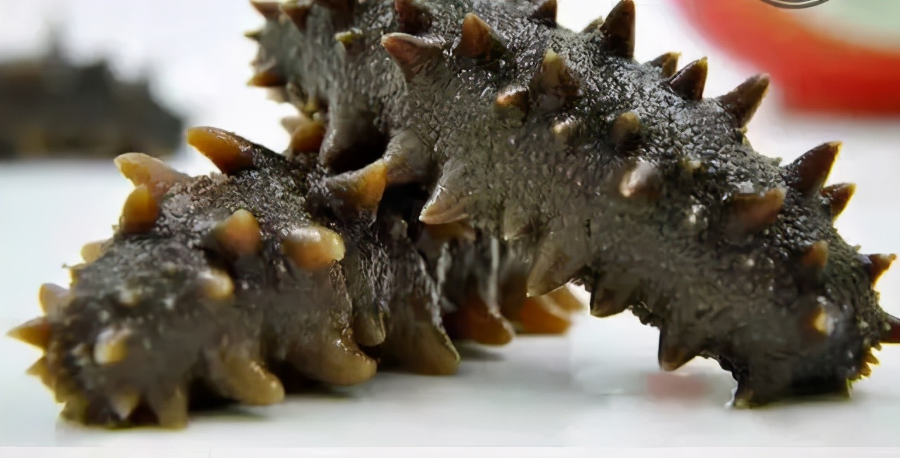 海参颜色有深浅营养价值一样吗,海参种类不同营养不一样吗