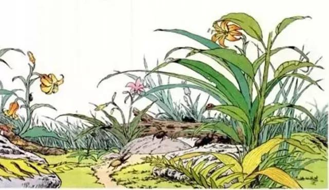 部编版语文1-3年级近义词反义词,三年级语文上册近义词反义词汇总