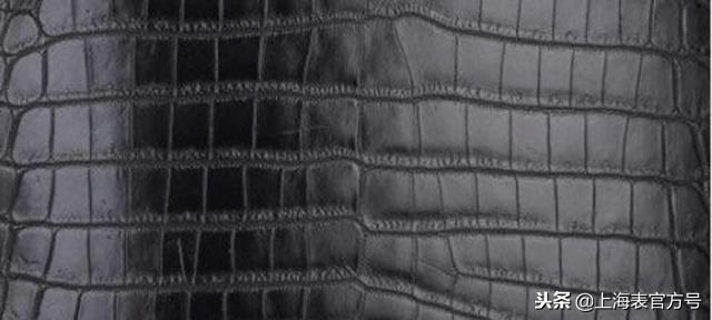 如何分别鳄鱼皮,鳄鱼皮使用方法