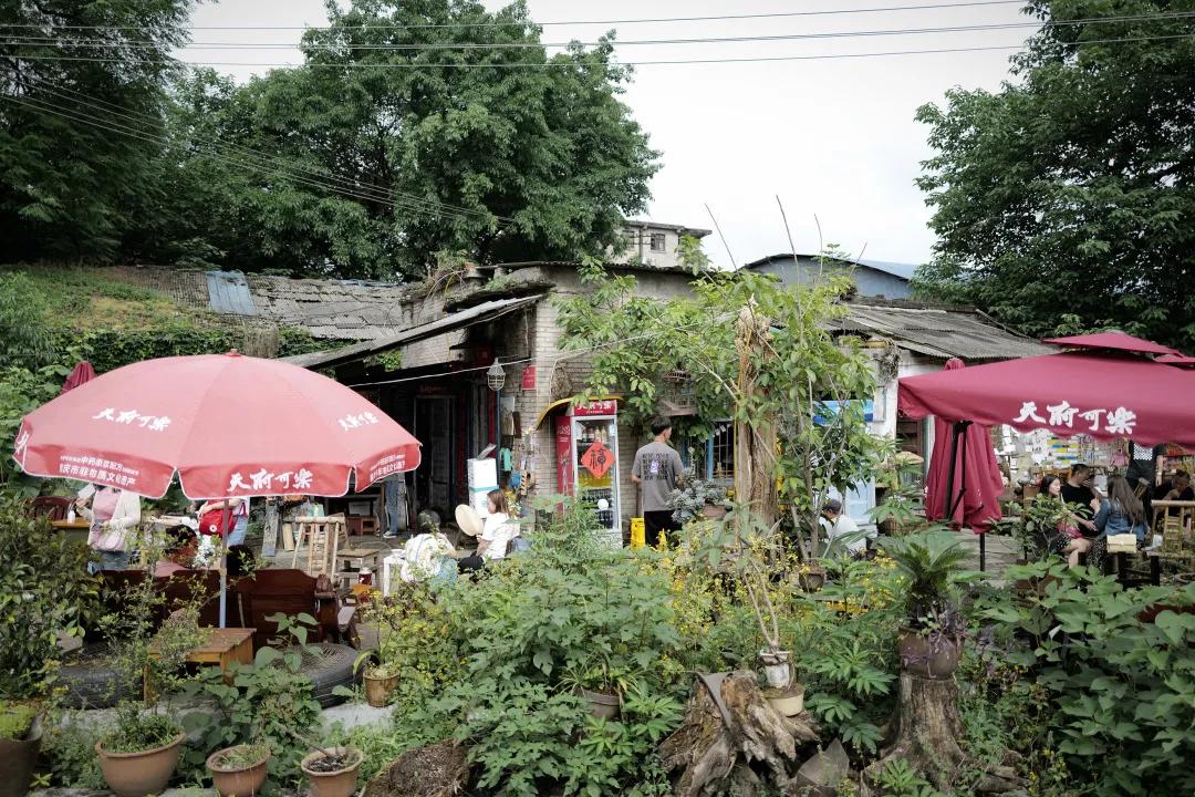 重庆哪几个月不适合旅游,重庆到底值不值得去旅游