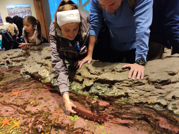 自驾游美国西雅图攻略,从西雅图到洛杉矶自驾游攻略