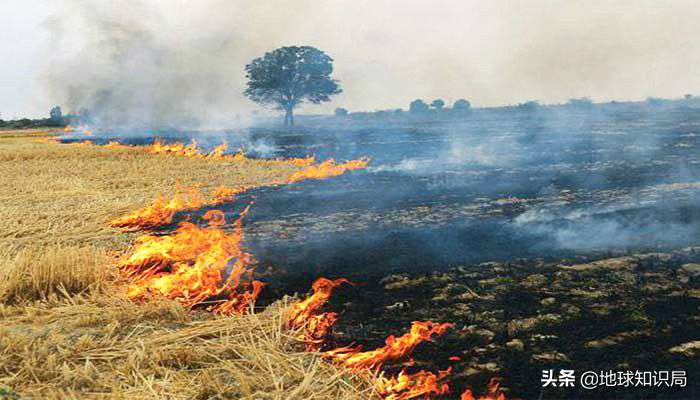印度空气污染如何治理,印度空气污染最严重是哪里