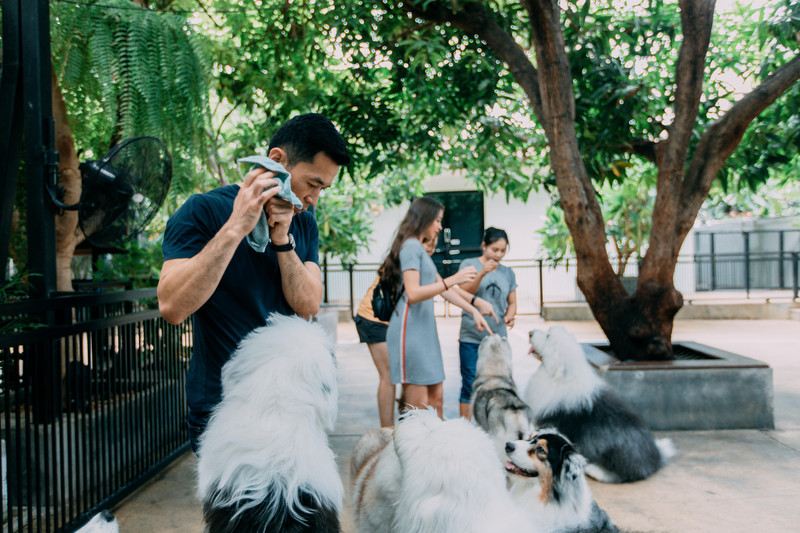 多次曼谷，整顿了这份美食攻略，曼谷怎么吃，戳进来