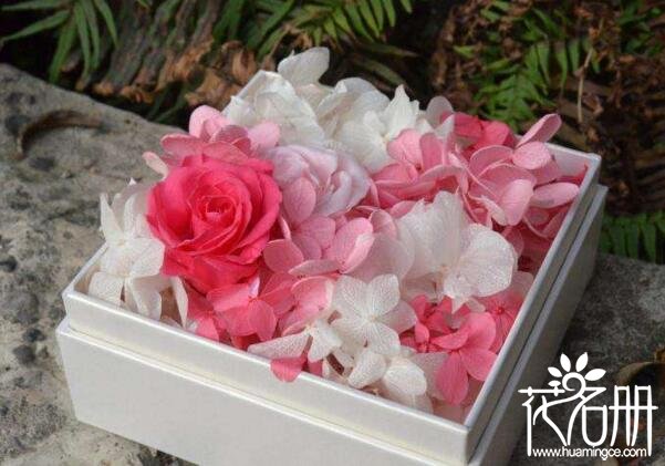 永生花一般多少钱一盒7大品牌永生花价格（89元-1999元不等）