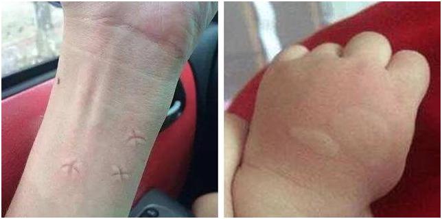 一日旅游带什么必备品,寒假中年人旅游推荐