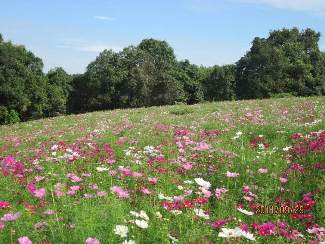 中秋优惠团购景区,团购石象湖门票