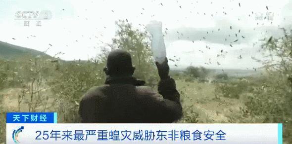 2020养鱼风水,青龙位养鱼风水