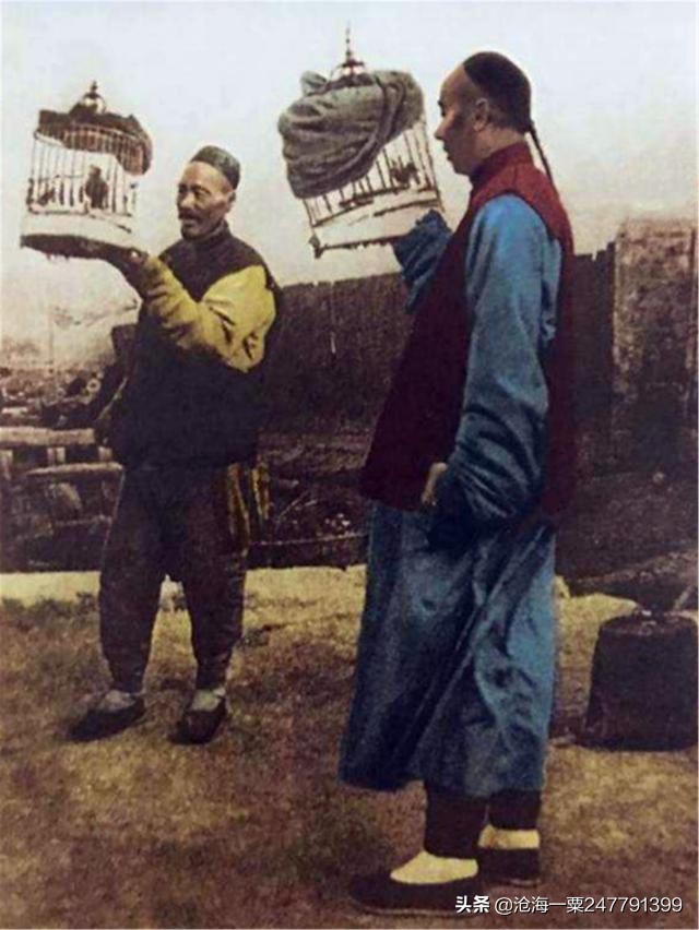 中国古代寓言故事东郭先生介绍,历史故事魏蜀吴三国