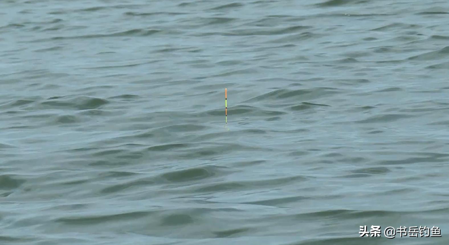 草鱼的钓法用多大的钩最好,三种钓草鱼绝密配方