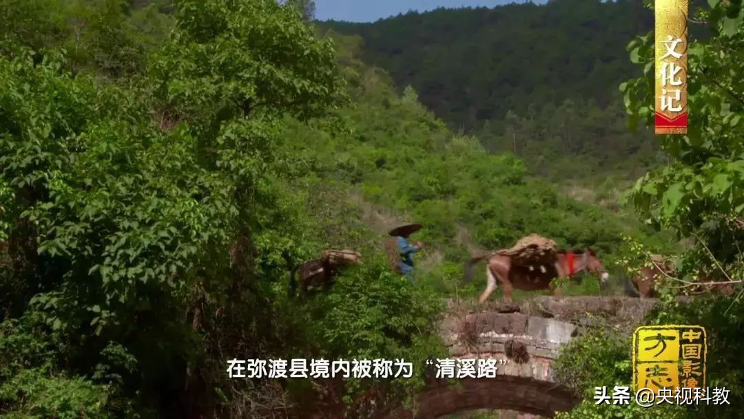 中国花灯之乡弥渡,弥渡花灯央视