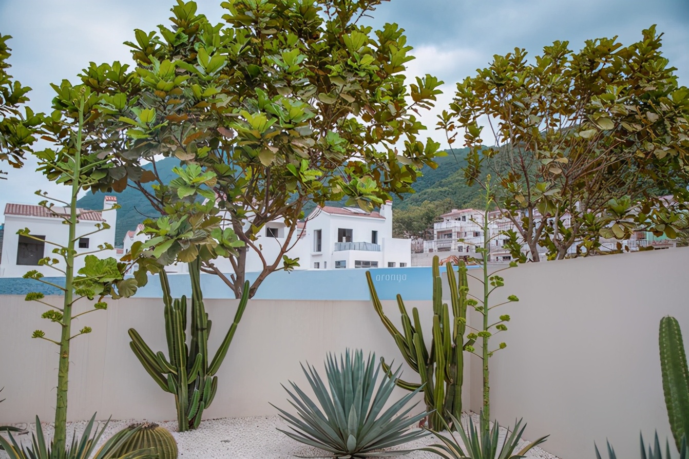 阿那亚北戴河三亚区别,三亚阿那亚旅游