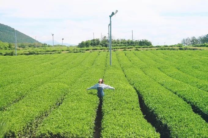 济州岛周末两日游,济州岛2天一夜跟团游