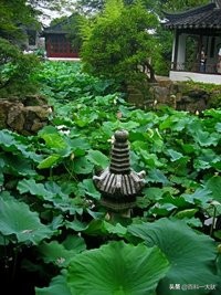 苏州的介绍资料,苏州市介绍卖淫判缓案例