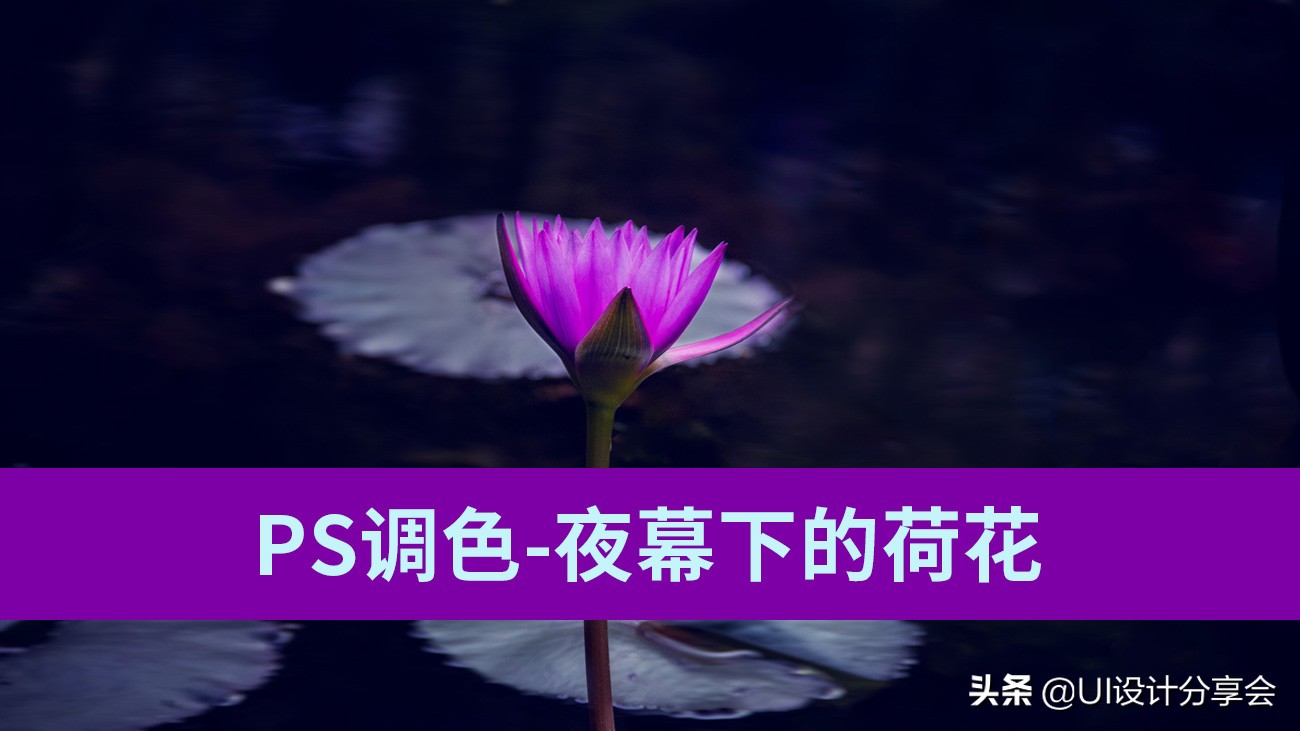 ps画意荷花如何调出洇染效果,ps荷花多重曝光的后期调色教程