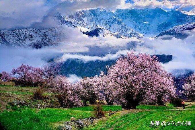 李白互相矛盾的古诗有哪些,李白理想与现实矛盾的诗作