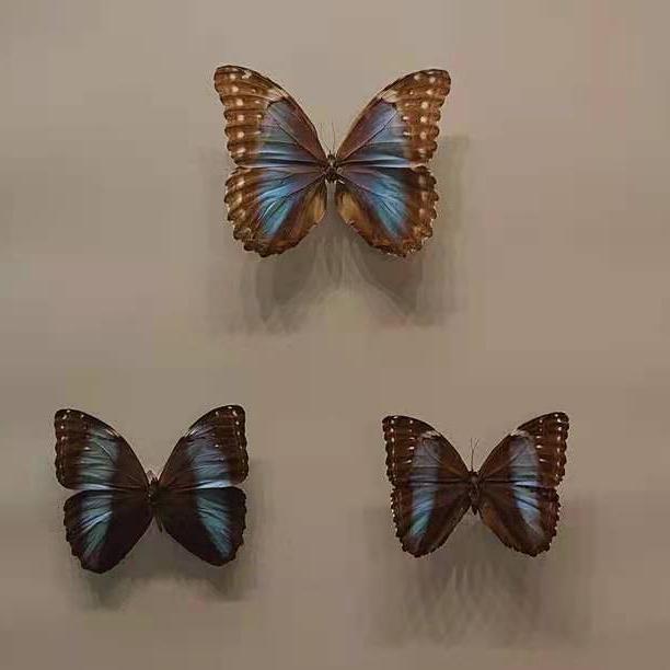 北疆博物馆历史,北疆博物馆最早建立的时间