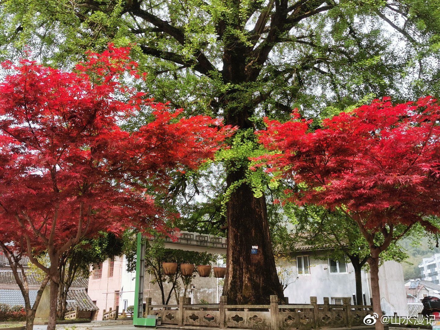 城杨村攻略,东钱湖城杨村游记