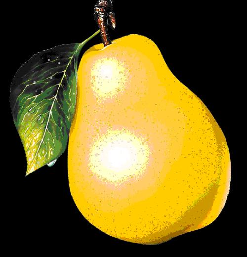 大年初五群相册，有群的都看看，太美了，这辈子见一次值了