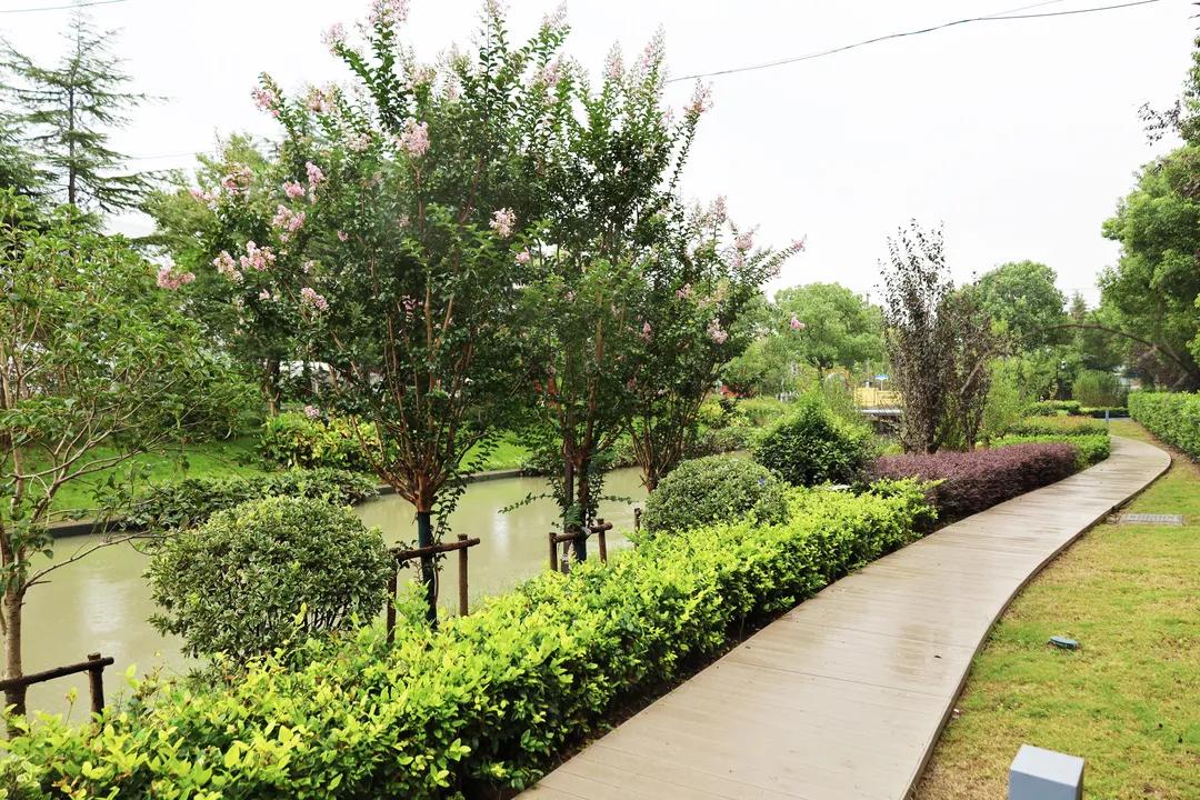 沪上“花园式”工地办公是怎样的体验？来看看这个白玉兰奖工程吧