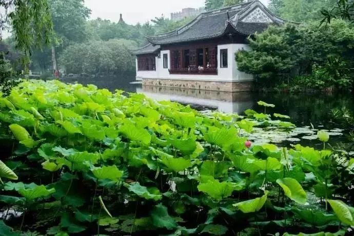 吵翻了！上海16个区终于正面PK！哪个是你心中的扛把子？