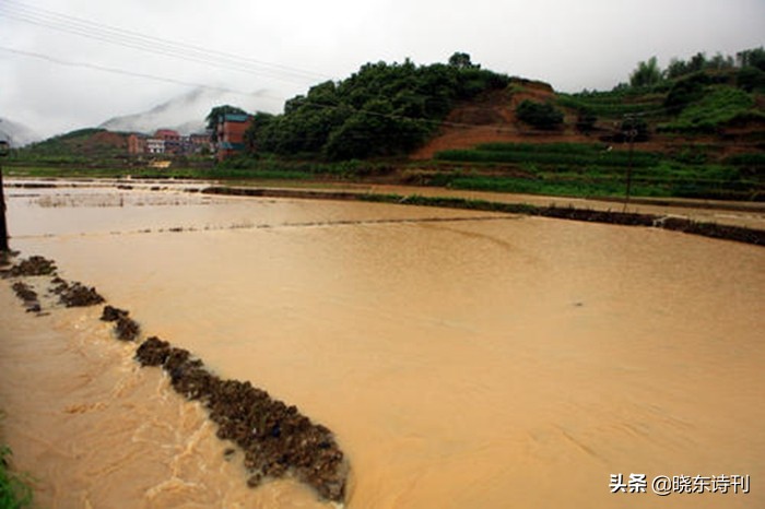 「黎明拾穗」43期诗词41首，首页篇篇造网红，风流戏子逞英雄