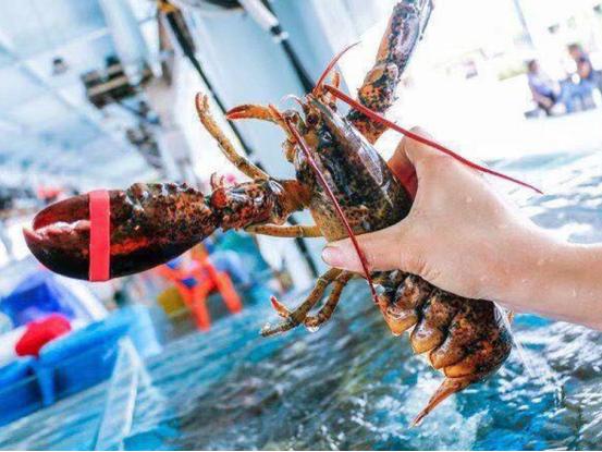 高考撞端午，全上985——高考结束我们就组队吃海鲜