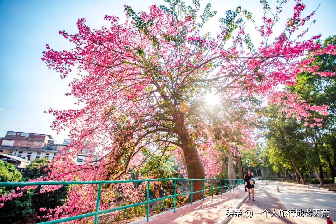 这才是12月最值得去的旅行地,11月12月去哪里旅游最美