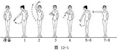 舞蹈基本功小课,舞蹈走步的动作与节奏