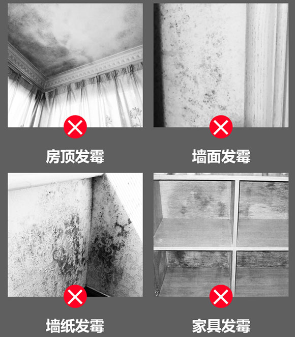 墙壁发霉除霉剂,卧室墙壁发霉严重除霉剂怎样使用