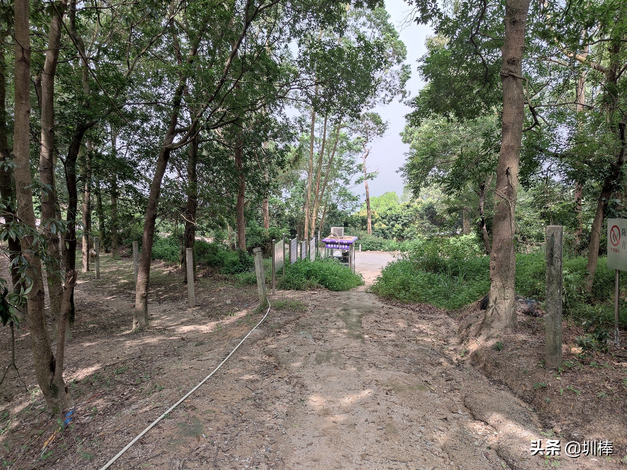 深圳最长的海岸线爬山攻略,凤凰山适合老人孩子的爬山攻略