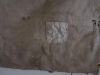 背着口袋去购物—《滴滴泉水集》之初中篇（七）