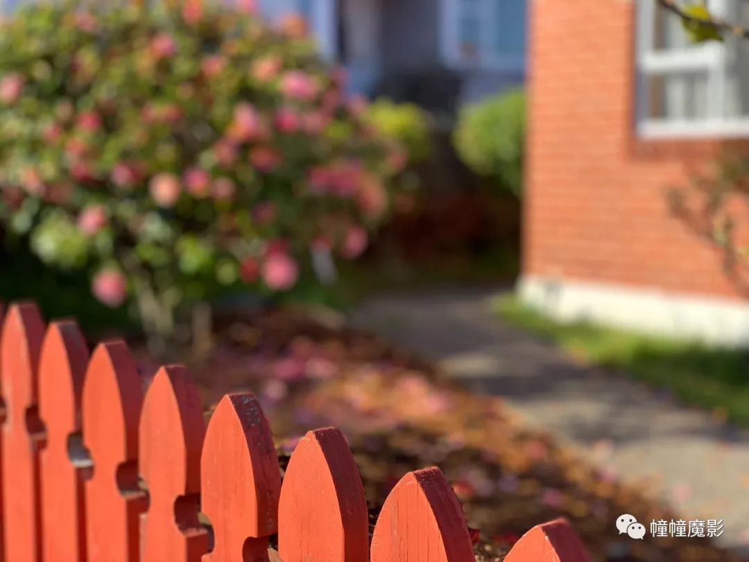 新西兰见闻录100,新西兰生活见闻