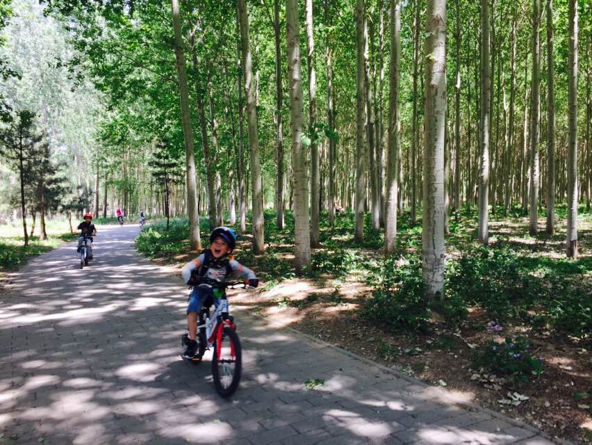 优贝故事,优贝故事17