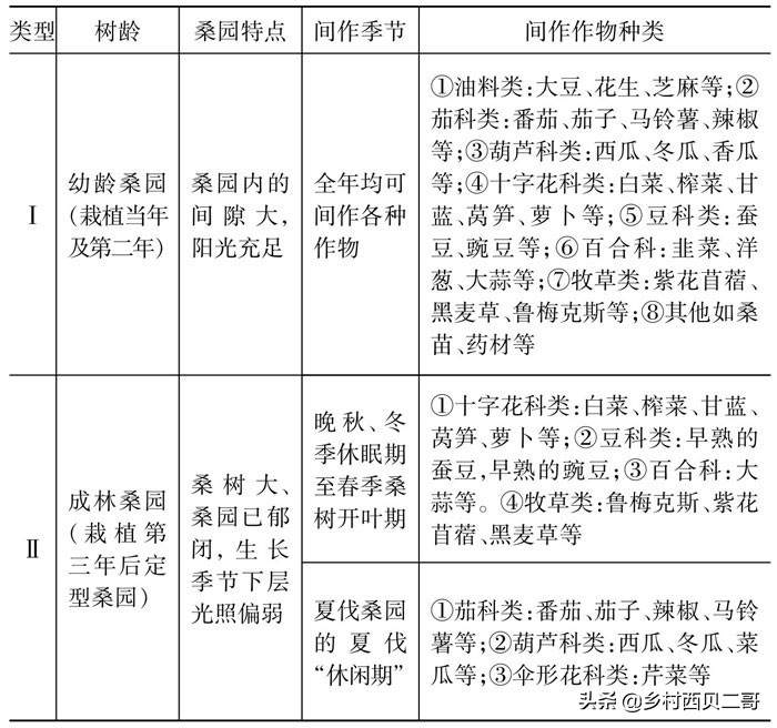 桑树种植技术资料大全,致富经桑树种植技术