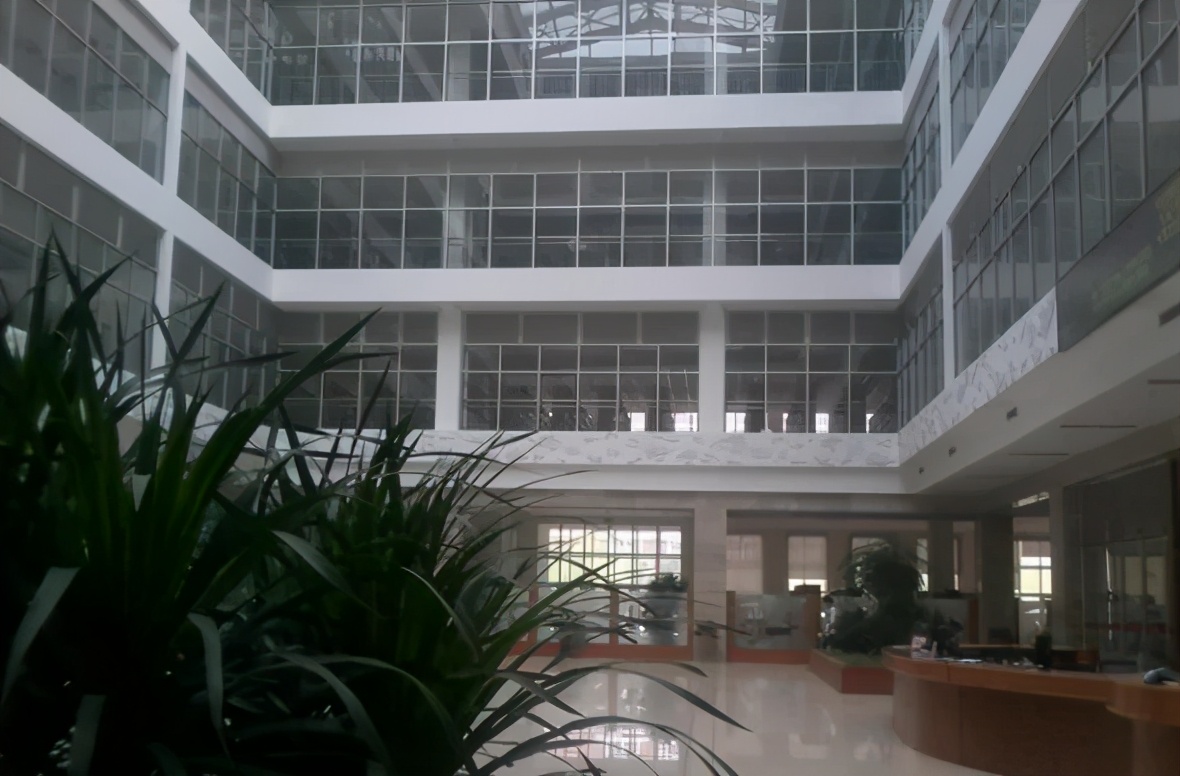 余秋雨挫折,余秋雨经历