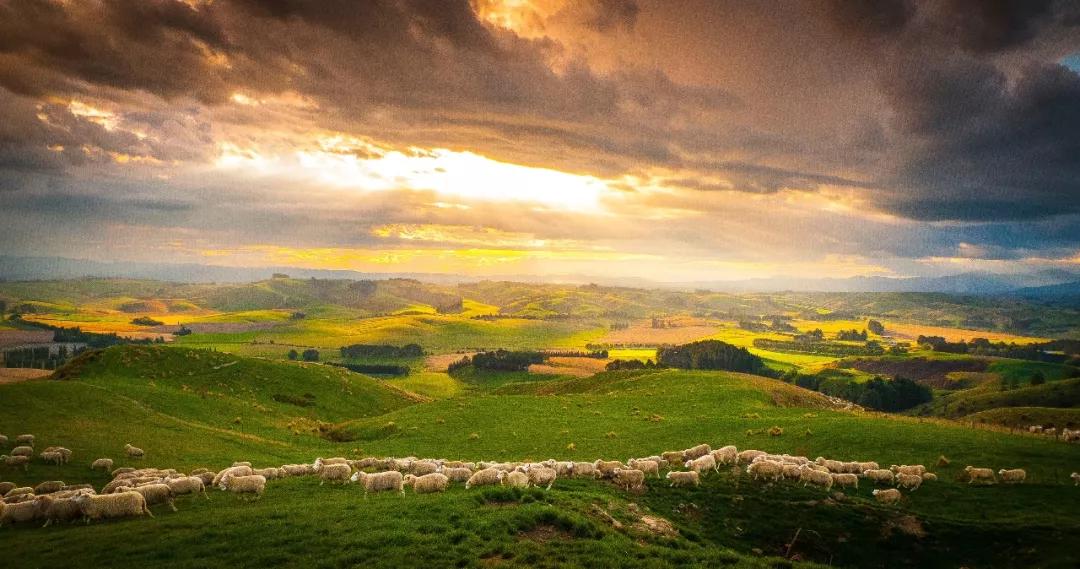 必看纪录片推荐建议收藏,推荐10部必看纪录片