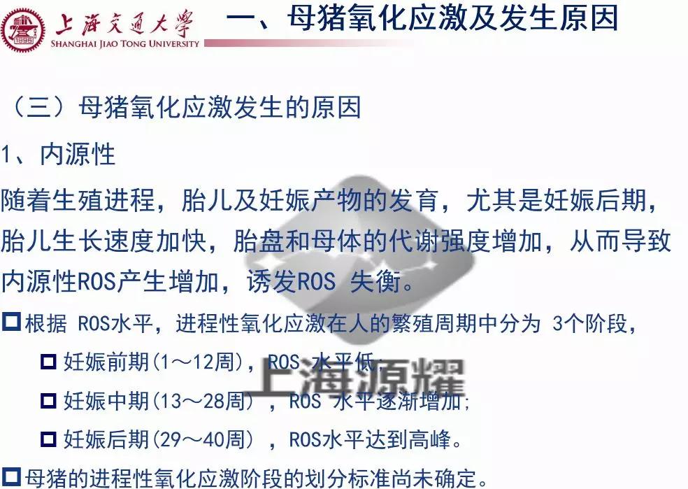 徐建雄教授讲座,徐建雄教授上海大学