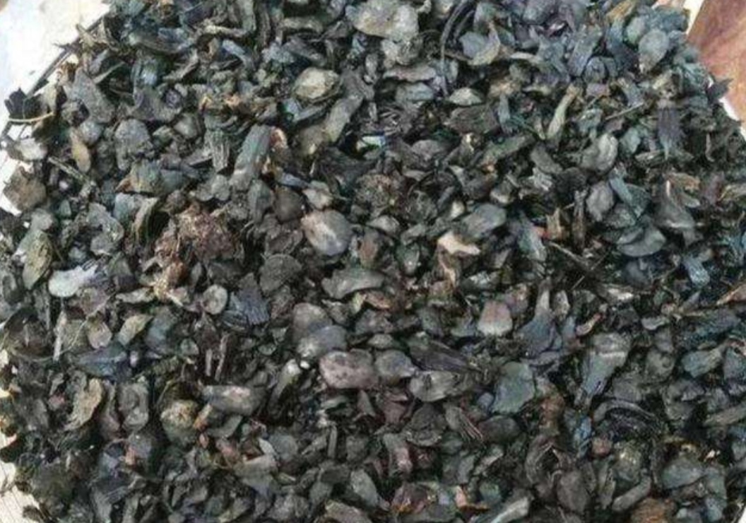 兰花用兰花专用土怎么养护,新手养兰花需要什么植料能养活