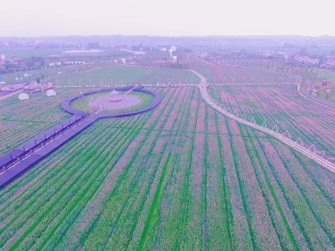 常德国庆节去哪旅游比较好,中秋去哪