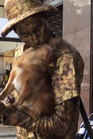 狗狗和主人扮雕像，这工作普通狗做不来，但它一脸享用的样子