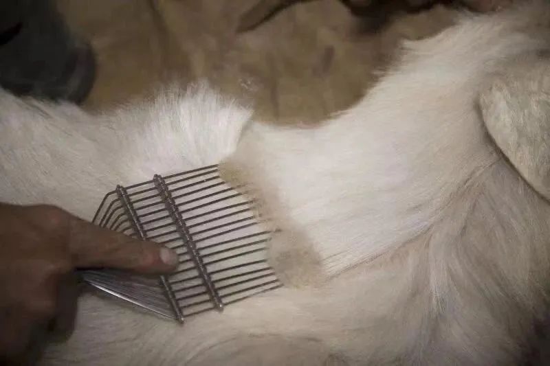 为什么大衣给人感觉很高级,为什么一件大衣能决定整体质感