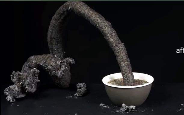 小孩玩面粉可以吗,家里有小孩注意看护不离视线