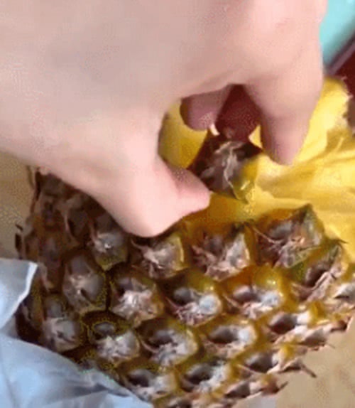 菠萝怎么不用削皮切开就能吃,菠萝怎么切不用去皮就可以吃