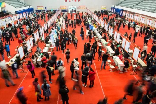 学历重不重要视频,学历真的不重要吗图片