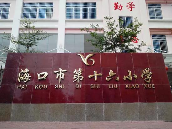 最美小学,海口优秀的小学