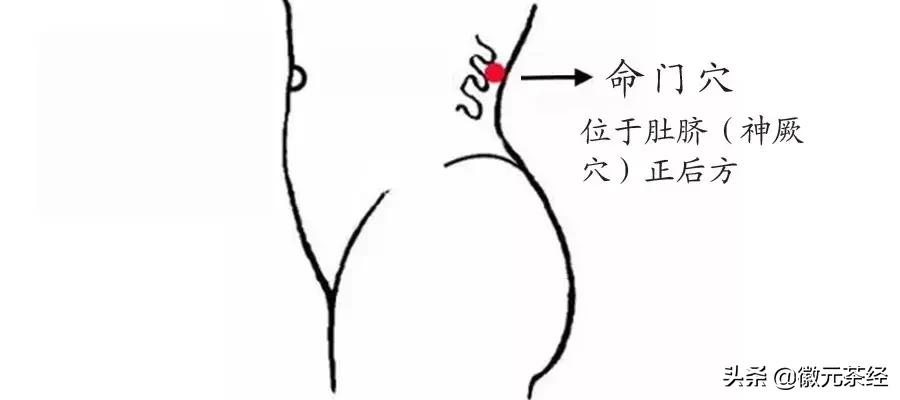 腊梅冬梅红梅三种有何区别,红梅和腊梅的区别详解